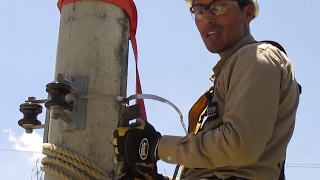 Aprende como Zunchar una Percha a un poste (Video Clase Linielec)