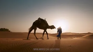 Visit Morocco on your terms, Tailored Tours to Discover Kingdom of Light