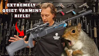 CHEAP and Effective Varmint Gun - Umarex Komplete NRA 2024