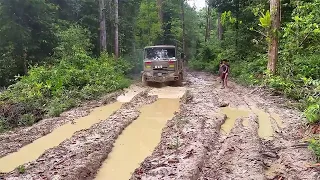 Offroad Doesn't Tolerate Mistakes! Bedford, Marcedes Benz, Volkswagen, Bus, Triton in Mud