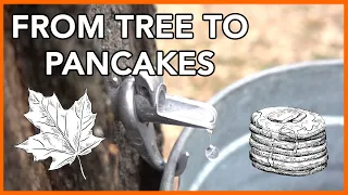 Making Maple Syrup at Home (Start to Finish)