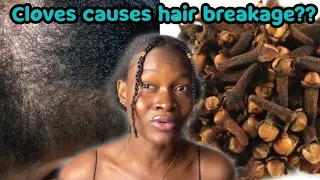“Cloves broke off my hair” HOW TO PROPERLY USE CLOVES FOR FAST HAIR GROWTH & prevent hair breakage