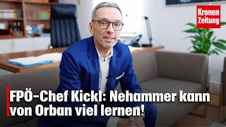 Sommergespräch mit Kickl: „Nehammer kann von Orban viel lernen!“ | krone.tv KATIA WAGNER