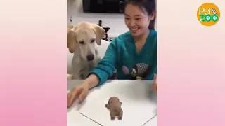 Funny Pets Reaction To Cutting Dog Cake  Compilation 🐶 Dogs And 😻Cats Funny