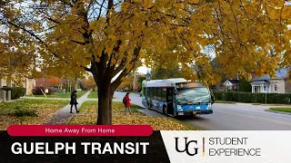 Home Away from Home: Guelph Transit