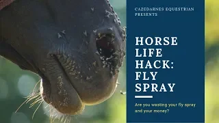 Horse Life Hack: Fly spray