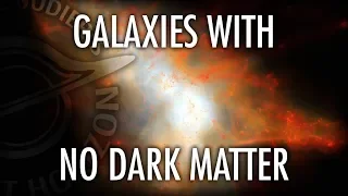 Do Galaxies with No Dark Matter Prove it Exists? Featuring Shany Danieli