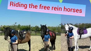 Riding horses from free rein