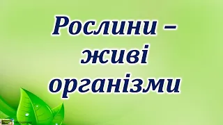 Рослини - живі організми. Презентація для учнів початкових класів  #ЯДС​​ #природа3клас