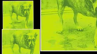 Alice in Chains - God Am (Vocals Only)