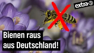 Besser leben ohne Bienen | extra 3 | NDR