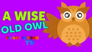 A Wise Old Owl Nursery Rhyme I Kindergarden TV