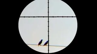 125 Yard Starling Shot with Air Rifle - Laser Rangefinder Demonstration