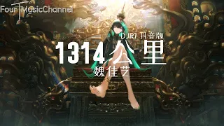 魏佳艺 - 1314公里 (DJR7 抖音版) 【动态歌词 lyrics】