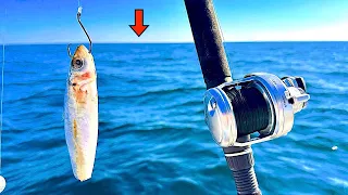 Fishing Cut Bait 300' DEEP! in the Gulf and Caught THIS!...[Catch, Clean, Cook]