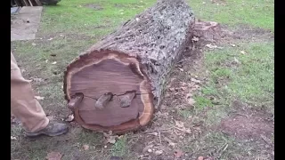 Genius Turns An Old Tree Trunk Into A Masterpiece Without Using A Single Power Tool