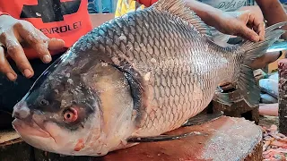 Amazing Cutting Skills | Giant Katla Fish Skinning & Chopping In Fish Market