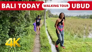 🇮🇩 UBUD TODAY | Walking Tour in KAJENG RICE FIELD | BALI UBUD Indonesia 2023 | Bali Travel Vlog