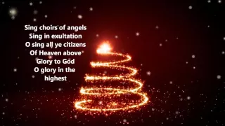 Chris Tomlin - O Come All Ye Faithful (Lyrics)