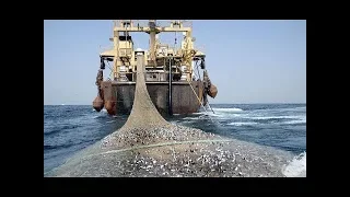 Barco pesquero moderno, procesando pescado justo a bordo