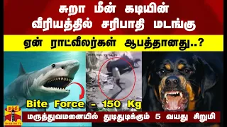 சுறா மீன் கடியின் வீரியத்தில் சரிபாதி மடங்கு.. ஏன் ராட்வீலர்கள் ஆபத்தானது..? - Bite Force - 150 Kg..