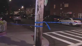 6-year-old girl struck and killed by SUV on Brooklyn street: NYPD