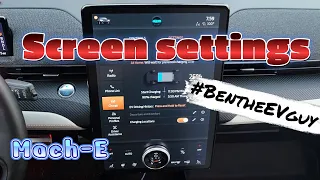 ALL SETTINGS EXPLAINED - Sync Screen | Ford Mustang Mach E