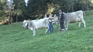 Arbeiten auf der Alm – Almhütten in Tirol Österreich 🐮