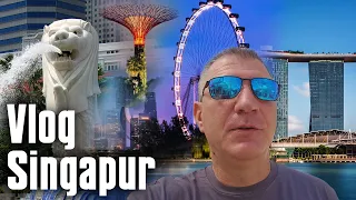 Sedam dana u Singapuru VLOG - toliko toga...