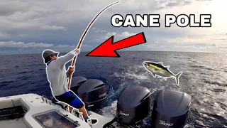 CANE POLE TUNA FISHING! Catch Clean and Cook! Islamorada Style