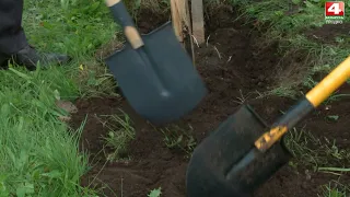 Аллея народного единства заложена в Гродно | Новости Гродно. 15.09.2021