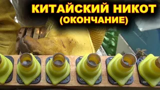 Китайский НИКОТ. (окончание).