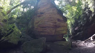 Exploring Turkey Run State Park in Indiana