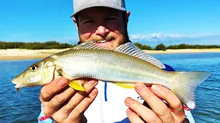 How to fish the Estuary’s (catch & clean)