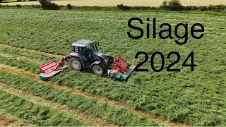 Start of silage