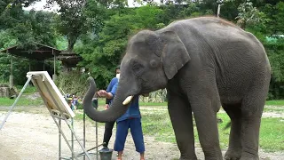 Watch How Elephant Tunwa Paints