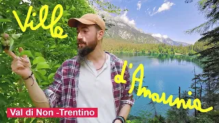 ho scoperto VILLE D'ANAUNIA (Val di Non - Trentino)