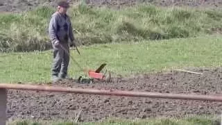 Танцы в огороде! Дед зажигает в поле, бабка в шоке!