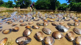 amazing fishing! today a fisherman skill catch clams and crabs a lots by best hand