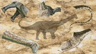 CUTE ANIMALS dinosaurs diplodocus puzzle  귀여운 동물 공룡 디플로도쿠스 퍼즐