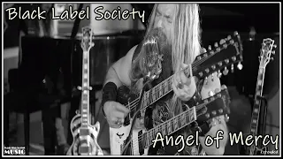 Black Label Society - Angel Of Mercy