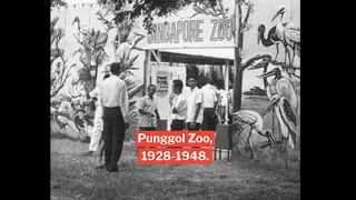The Singapore Zoos That Existed Before Mandai