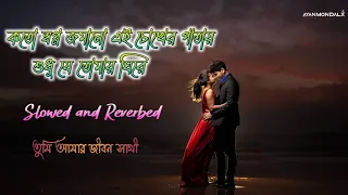 Tumi Amar Jibon Sathi [Slowed+Reverbed] Bidhatar Lekha | Sonu Nigam & Alka Yagnik | Jeet