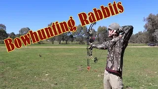 Hunting Rabbits with a compound bow