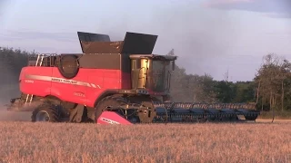 Barley Harvest - Massey Ferguson 9380 Delta Combine - Harvest 2014