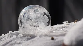 Freezing Bubbles