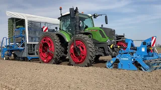 Special Fendt 314 Profi+ with OC Group track width extensions, planting broccoli seedlings.