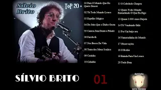 SÍLVIO BRITO - TOP 20 + (High Quality)