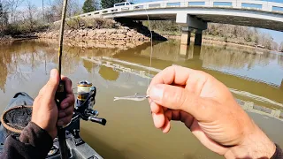 4 Hours of RAW and UNCUT Ultralight Fishing with Gulp Minnows | Fort Loudon Reservoir