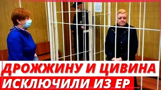 Дрожжину и Цивина исключили из «Единой России»